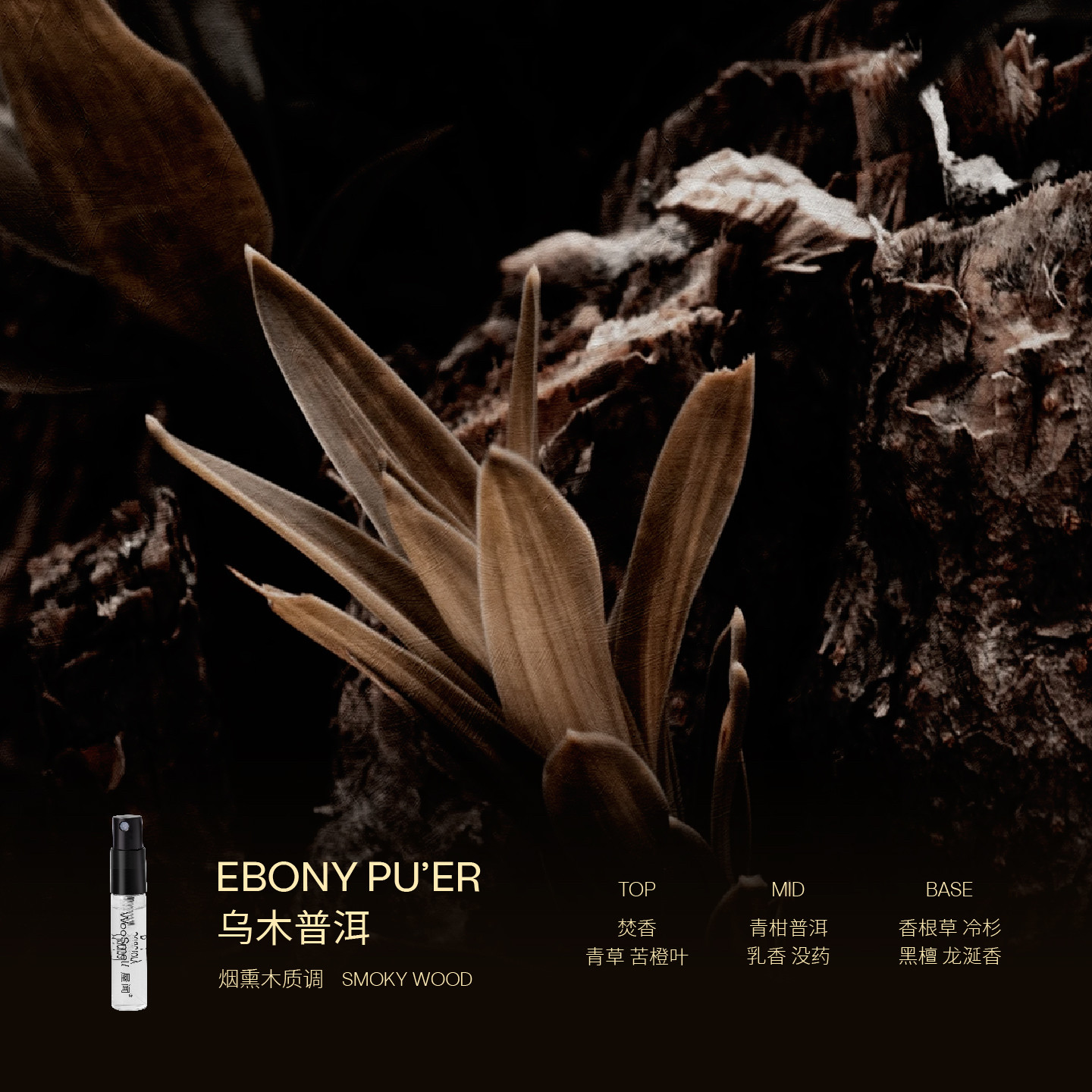 【新人礼】WooSmell屋闻 大树系列香氛香水小样体验礼 享回购券,淘宝优惠券,粉丝福利购,淘宝优惠卷