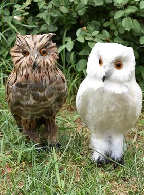 真羽毛仿真猫头鹰静态动物模型羽毛标本摆件摄影道具家居商场摆件