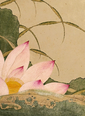 清谢荪荷花图真迹复制画宣纸画芯