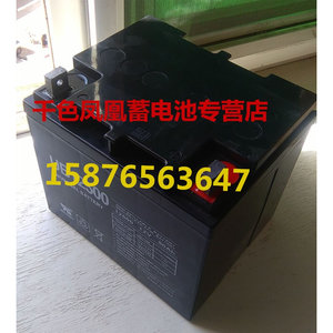 。电动轮椅代步车电池 适用于必翔 普拉德 美利驰 英维康 光阳 电