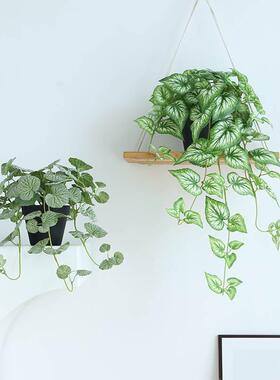 ins北欧风仿真藤蔓植物假盆栽造景客厅绿植摆件橱窗店面装饰
