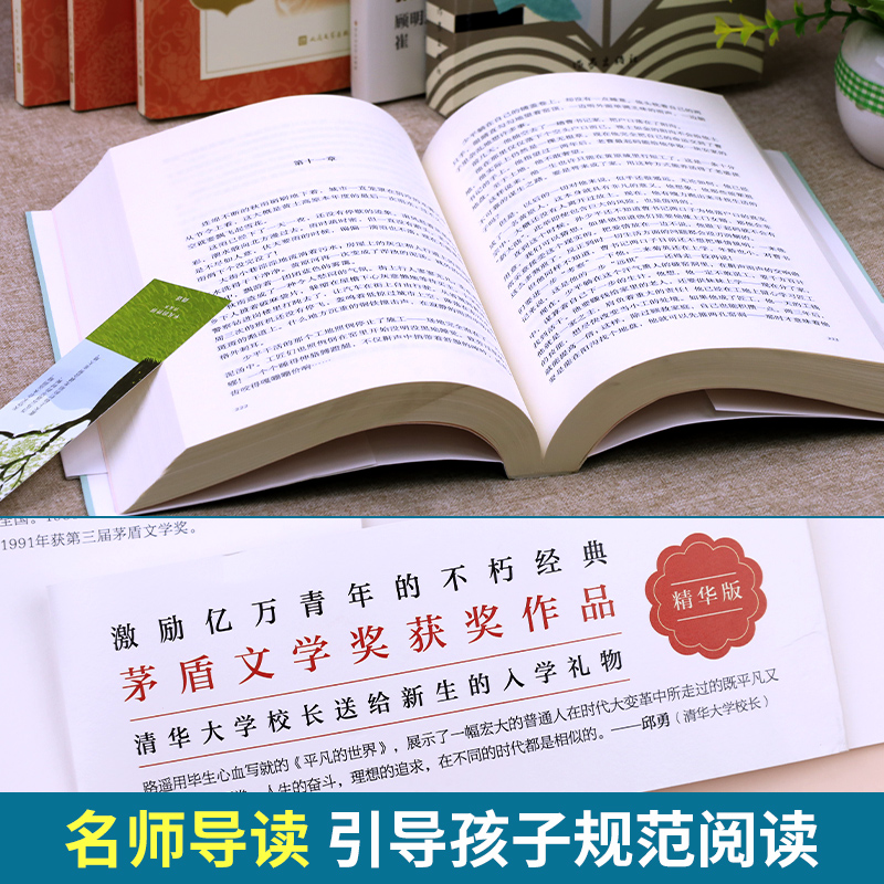 经典常谈钢铁是怎样炼成的人民文学出版社正版原著八年级下册读名人传罗曼罗兰给青年的十二封信平凡的世界完整版初二朱自清长谈 - 图1