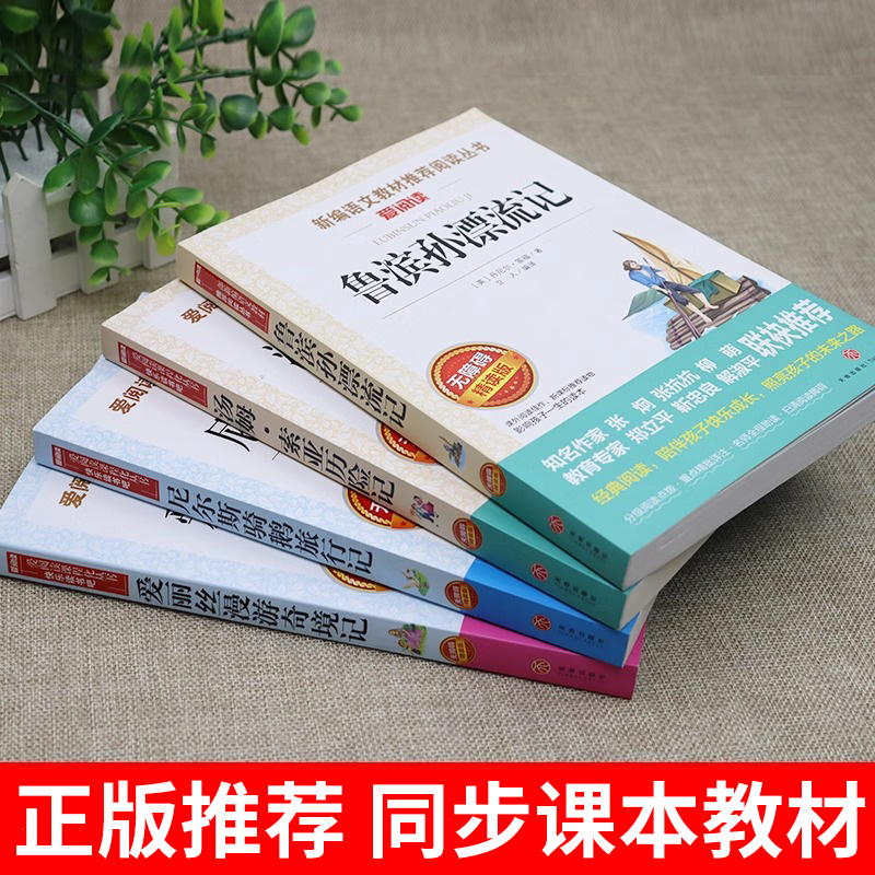 全套3册 六年级下册鲁滨逊漂流记正版汤姆索亚历险记爱丽丝漫游奇境尼尔斯骑鹅旅行寒假课外书读物快乐读书吧读正版鲁宾汉鲁冰孙 - 图2