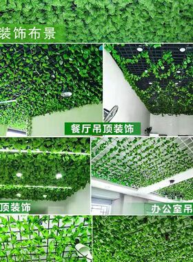 仿真葡萄叶藤条藤蔓绿植物树叶绿萝吊顶装饰花藤叶子假花塑料绿叶