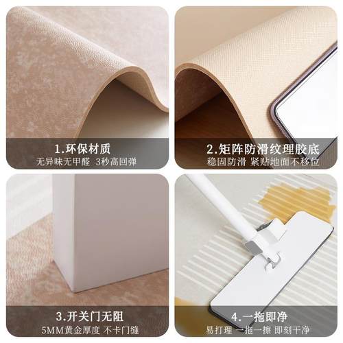 入户门地垫家用门口耐脏免洗皮革脚垫玄关除尘可裁剪地毯进门门垫 - 图3