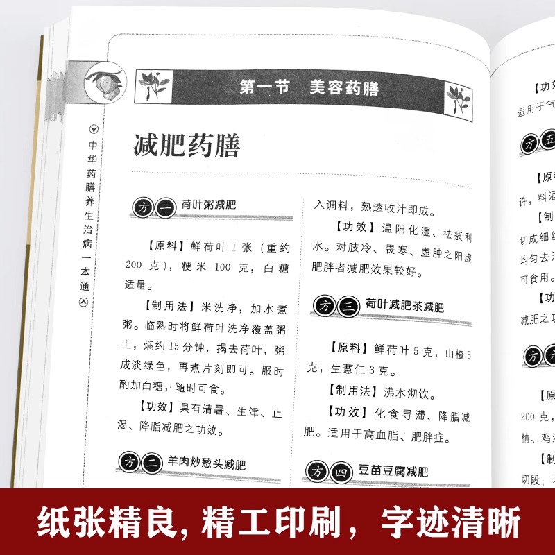 2册中华药膳百病食疗大全正版彩图养生汤膳养生治病一本通大全解中医养生食谱调理四季家庭营养健康保健饮食养生菜谱食补书-图2