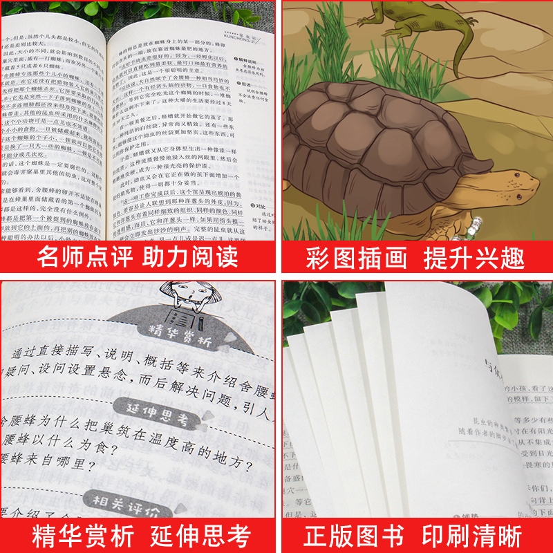 全套非洲民间故事欧洲民间故事五年级上册读的课外书精选快乐读书吧阅读儿童读物书目推荐曼丁之狮聪明的牧羊人世界外国明间名5