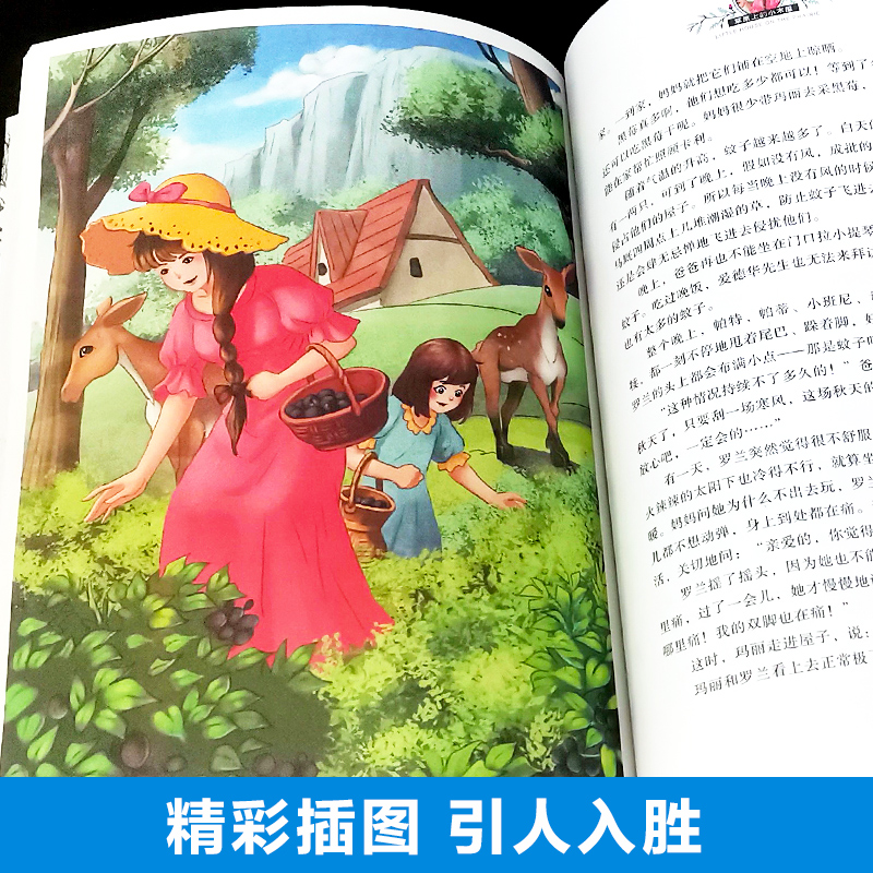 四年级读经典书目 全套9册 草原上的小木屋 青鸟书秘密花园海底两万里小学版总有一天会长大小学生阅读的课外书籍正版书老师