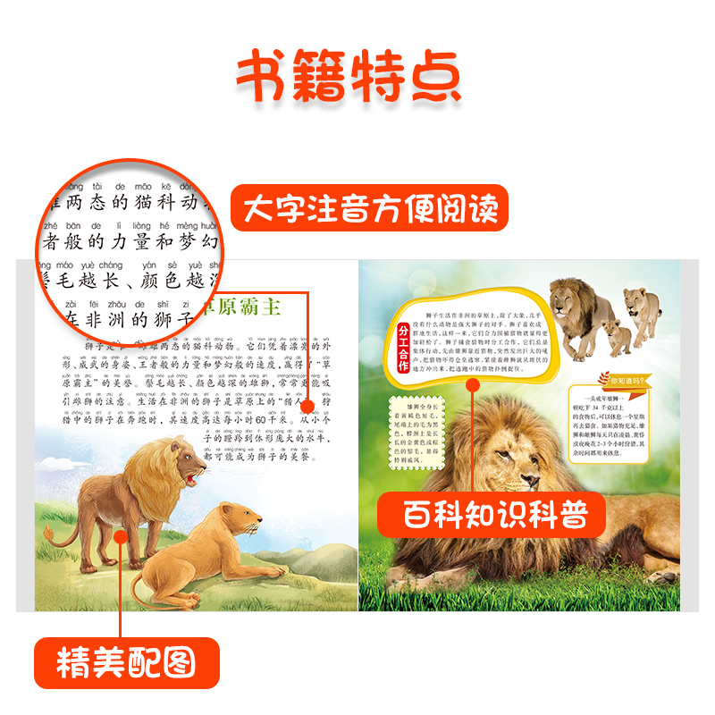 动物世界百科全书全套4册DK博物大百科彩图注音版少儿奇趣植物海洋生物昆虫世界儿童科普百科全书绘本小学生一二年级阅读课外书籍