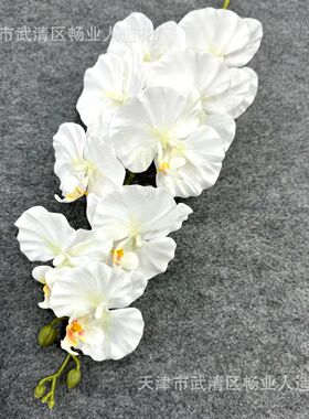 跨境新品卡特兰3D打印欧式复古影楼酒店婚庆布置9头蝴蝶兰仿真花