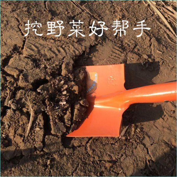 小铁锹 小铁铲 户外小锹 沙滩铲 车载小锹 木柄车载铁锹铁锨包邮,淘宝优惠券,粉丝福利购,淘宝优惠卷