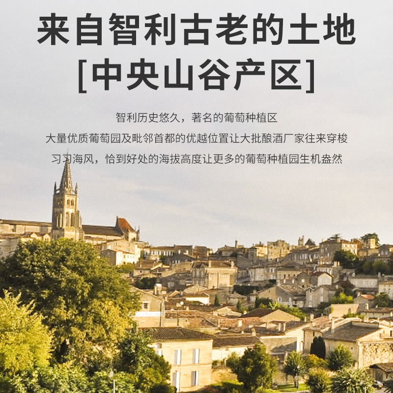 礼盒装智利原瓶进口红酒整箱13.5度2支6干红葡萄酒正品保障官方