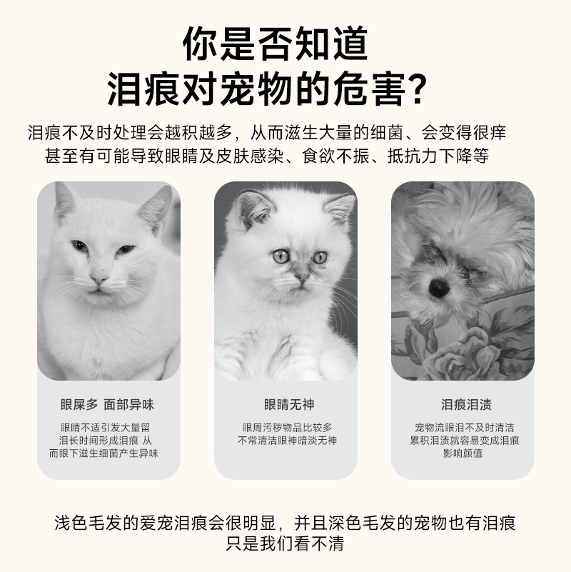 eye envy天使眼泪痕粉狗狗泪痕湿巾比熊泪痕猫咪擦眼睛小样 - 图0