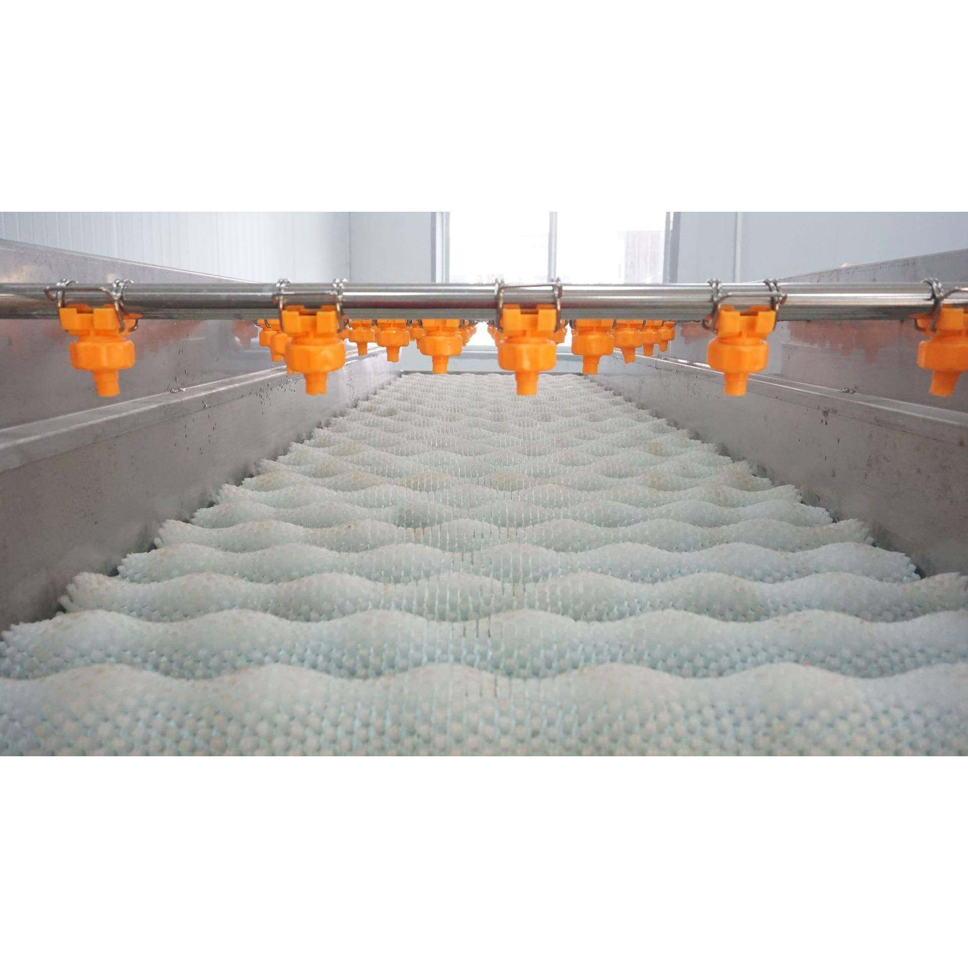 橘红橘子清洗分级,淘宝优惠券,粉丝福利购,淘宝优惠卷