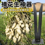 Артефакт для сбора арахиса для рабочих и фермеров. 243 новая молотилка для арахиса, бытовой небольшой ручной инструмент для отделения арахиса.