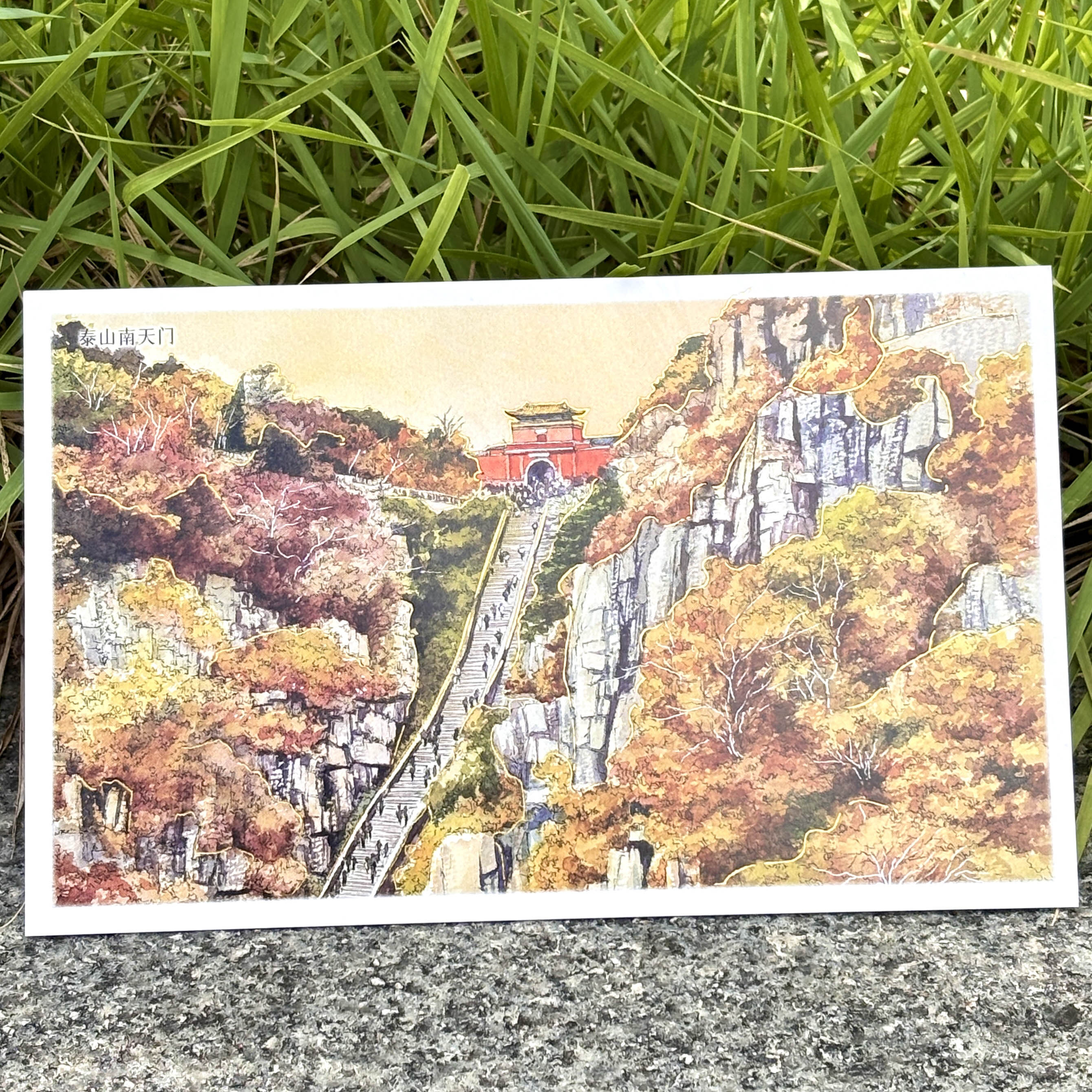 图3