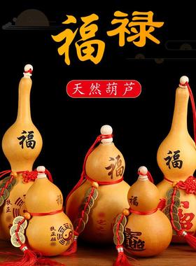 天然开 口特大葫芦五帝钱挂件真胡芦门口卧室带盖子八卦客厅葫芦