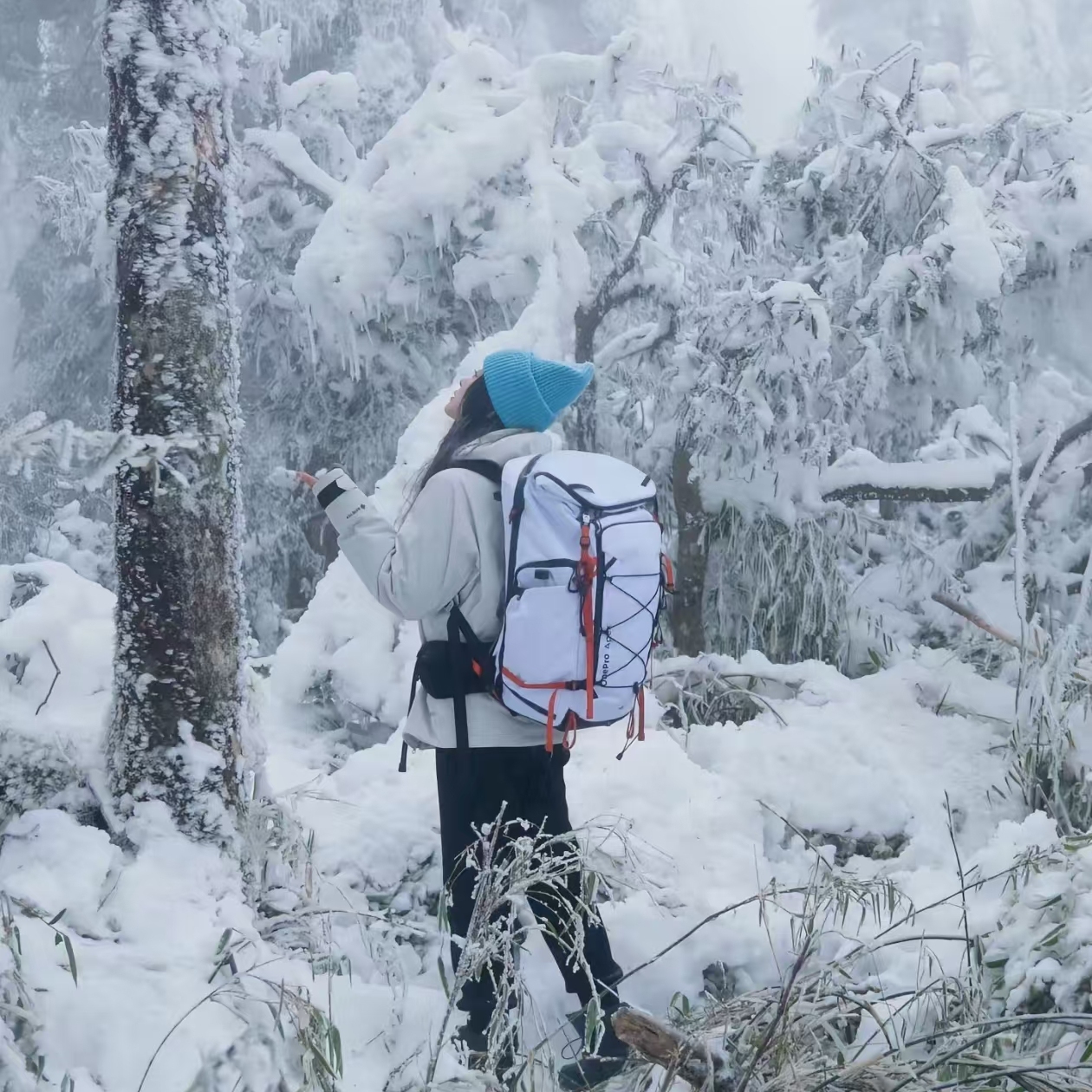 PGYTECH蒲公英OnePro Apex觅境/Fcoux创作/Flex探险/ST打鸟摄影包 - 图0