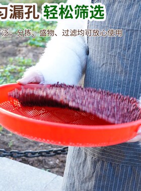 塑料筛子圆簸箕家用商用晒东西筛米大小晒筐细孔过滤仿竹编晒菜网