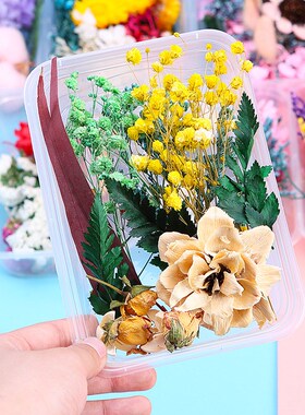 手工团扇相框浮游花压花材料包真花干花混合花材料包