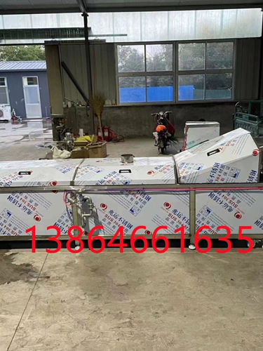 Непрерывные ломтики корня лотоса