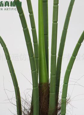 仿真扇葵蒲葵树 人造唐棕蒲葵扇葵树盆栽 室内软装橱窗摆件盆景