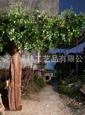 厂家直销仿真黄桷树榕树仿真真木杆榕树园林景观异型假树室内装饰