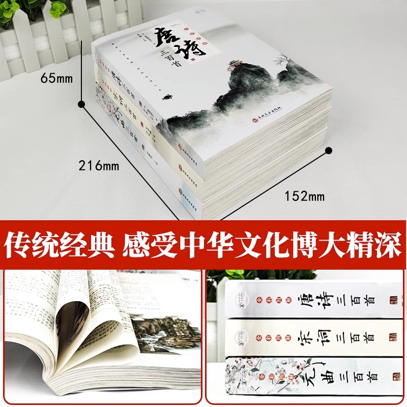 全套3册 唐诗三百首唐诗宋词元曲正版全集 古诗词大全集书籍 诗集古诗全唐诗宋诗300首鉴赏辞典 高中生用鉴赏赏析诗词大会全套书籍 - 图1