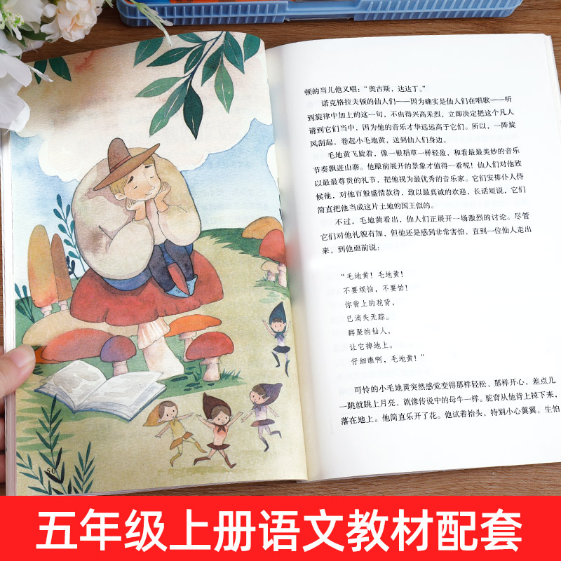 人教版 五年级上册快乐读书吧全套 田螺姑娘聪明的牧羊人 中国欧洲非洲民间故事五上 读课外书阅读 人民教育出版社