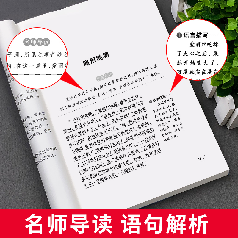 爱丽丝漫游奇境记正版书原著版 六年级下册读课外书教师小学生经典书目阅读书籍6 下学期老师天地出版社 爱丽丝梦游仙境