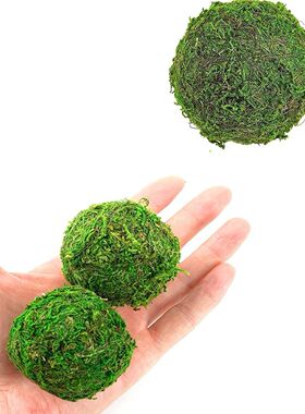 厂家供应真青苔苔藓球微景观园艺花盆盆栽造景草球干花球挂饰吊饰