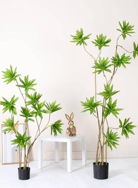 仿真绿植高级感百合竹假树盆栽大型落地摆件橱窗装饰仿生植物造景