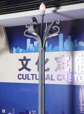 LED中华玉兰灯户外市政道路景区广场草坪灯工程景观灯灯杆超亮