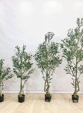 现货仿真绿植橄榄树盆栽北欧风客厅餐饮店落地仿真凤尾葵假树