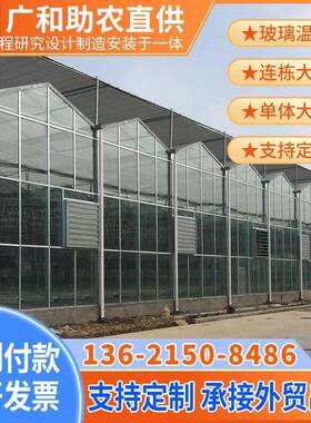 蔬菜玻璃温室大棚温室大棚养殖种植栽培智能育苗农业观光