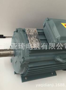 IFGEJ-50-0.37-2刹车电机Motor