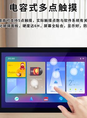 10.1寸IPS树莓派HDMI触摸屏RaspberryPi高清液晶显示器带铁壳S