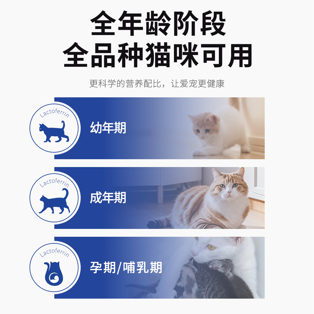猫咪专用复合维生素B乳铁蛋白金维它冻干片宠物营养猫多维营养膏,淘宝优惠券,粉丝福利购,淘宝优惠卷