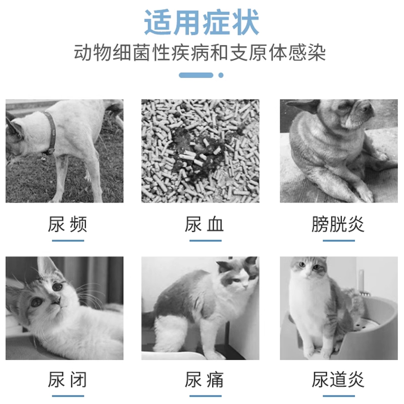 科特医生利尿通猫咪泌尿系统药感染消炎狗狗恩诺沙星猫利尿闭尿血 - 图0