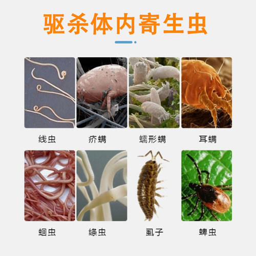 伊维菌素狗用狗狗螨虫专用药疥螨蠕形螨宠物狗狗驱虫药狗癣专用药 - 图2