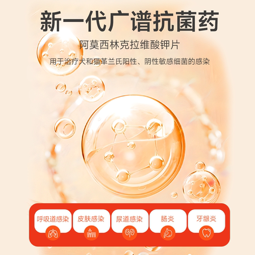 阿莫西林克拉维酸钾猫咪狗阿莫西林克拉维酸钾宠物专用消炎药感冒 - 图3