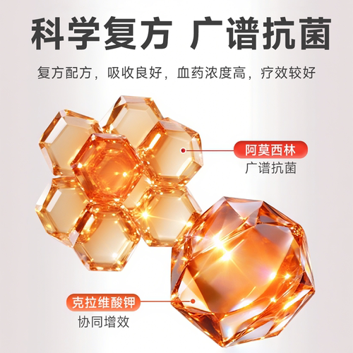 阿莫西林克拉维酸钾猫咪狗阿莫西林克拉维酸钾宠物专用消炎药感冒 - 图2