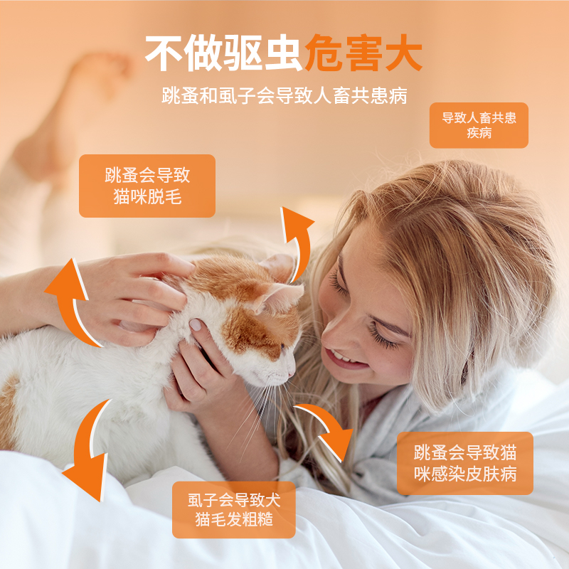 狗狗驱虫药宠物猫咪体外驱虫跳蚤内外同驱耳螨吡虫啉莫昔克丁滴剂 - 图2