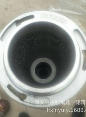 新款SGLQ-1000A发电机定子冷却水过滤器滤芯