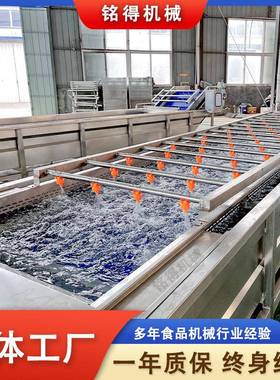 小型油麦菜气泡清洗机商业香菜自动喷淋式清洗设备多功能洗菜机