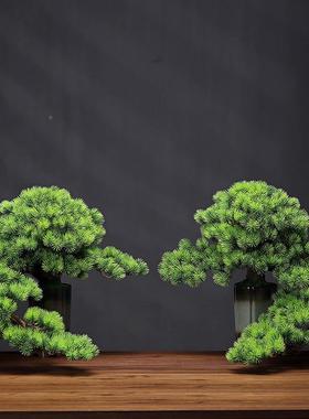 中仿真绿植软装盆景迎所客松家居室内装饰酒厅店MP00163会餐式电