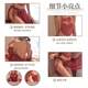 Adult bellyband intercourse large scale fun high-end underwear