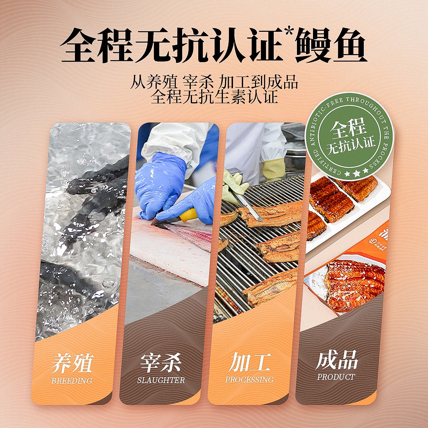 川鳗王河鳗鲜活蒲烧鳗鱼日式烤鳗鱼商用分段活鳗半成品新鲜鳗鱼饭,淘宝优惠券,粉丝福利购,淘宝优惠卷