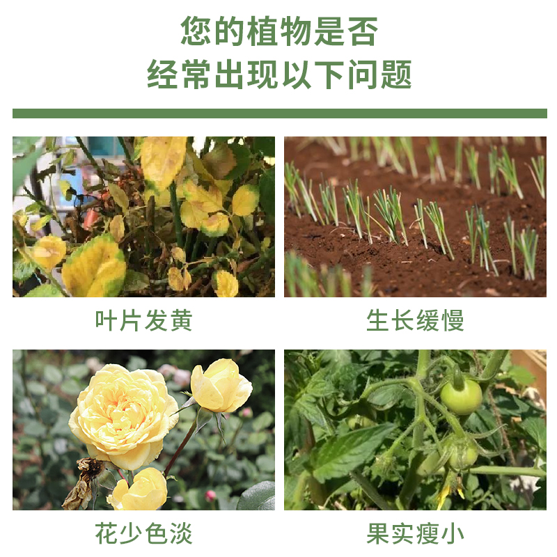 花长安花卉通用持效控释肥营养肥多肉颗粒缓释肥氮磷钾复合肥养花 - 图2