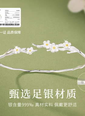 珍尚银足银手镯小众银镯子礼物